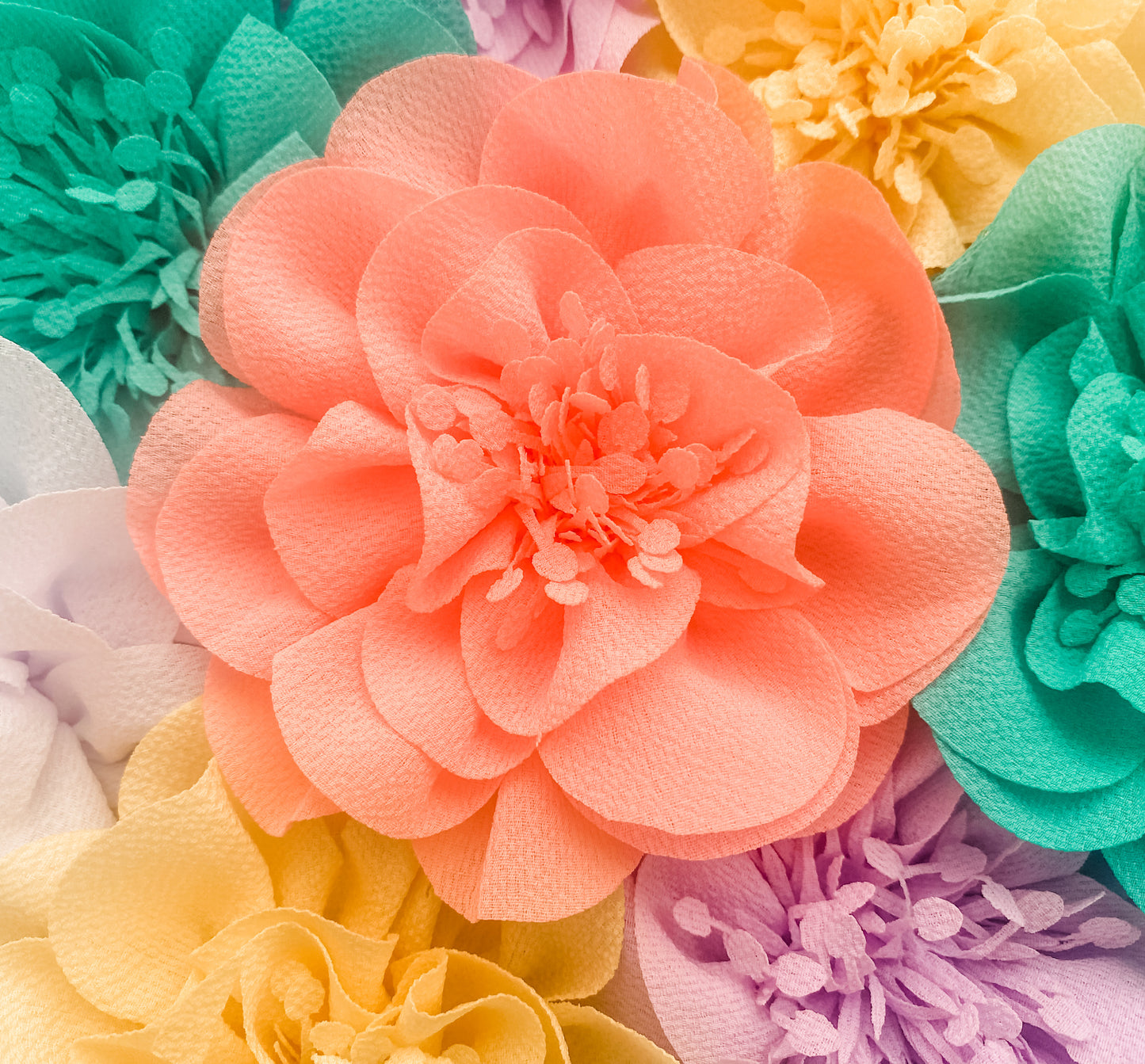 Big Blooms- clips or headbands